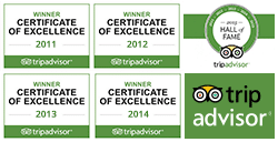 TripAdvisor Award